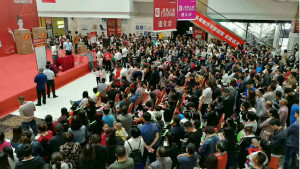 第229店，居然之家在河北深入县级市 